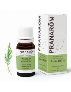 ESENCIA ARBOL DEL TE...