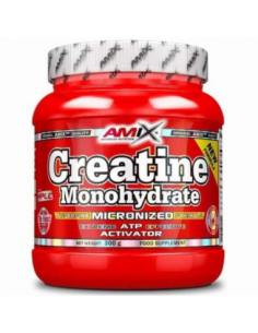 CREATINE MONOHYDRATE 300...
