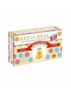 REINA REAL JUNIOR 20 ampollas