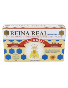 REINA REAL DEFENSAS 20...