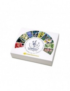 KIT BACH 38 ESENCIAS+2...