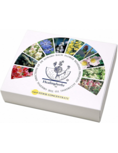 KIT BACH 38 ESENCIAS+2... 2