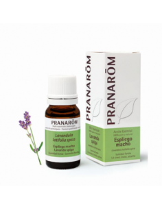 ESENCIA ESPLIEGO MACHO 10...