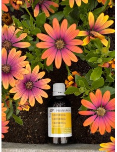 CALENDULA Aceite Eco 50ml,... 2
