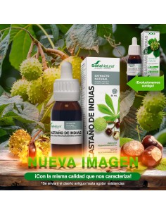 CASTAÑO DE INDIAS Extracto... 2