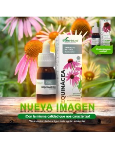 ECHINACEA Extracto 50...