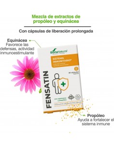 13 C Fensatin (Fórmula XXI)