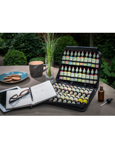 KIT BACH PIEL 20ml 40u