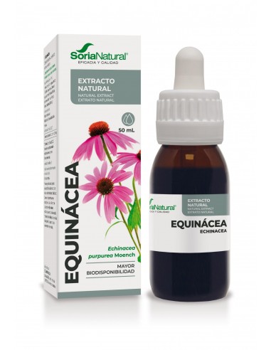 PACK 2 - EXTRACTO ECHINACEA