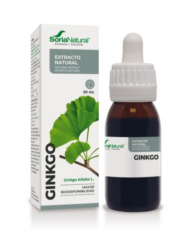 PACK 2 EXTRACTO GINKGO BILOBA