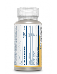 MEGA QUERCITIN 60 cápsulas 2