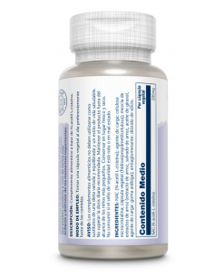 NAC (N-AcetilCisteina) 295... 2