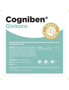 GINKORO 90 cápsulas 2