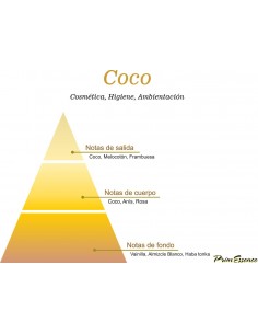 ESENCIA COCO 500 Mililitros 2
