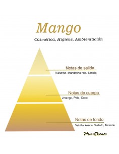 ESENCIA MANGO 1000 Mililitros 2